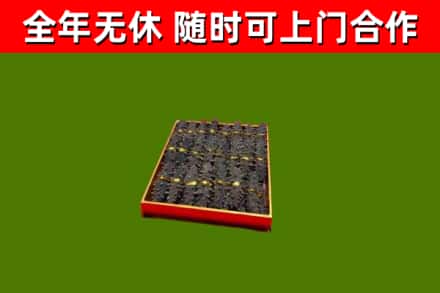 六盘水市回收海参